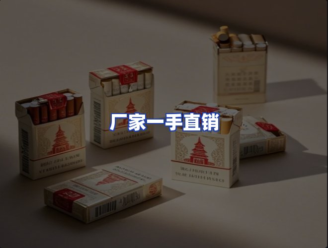 专业团队